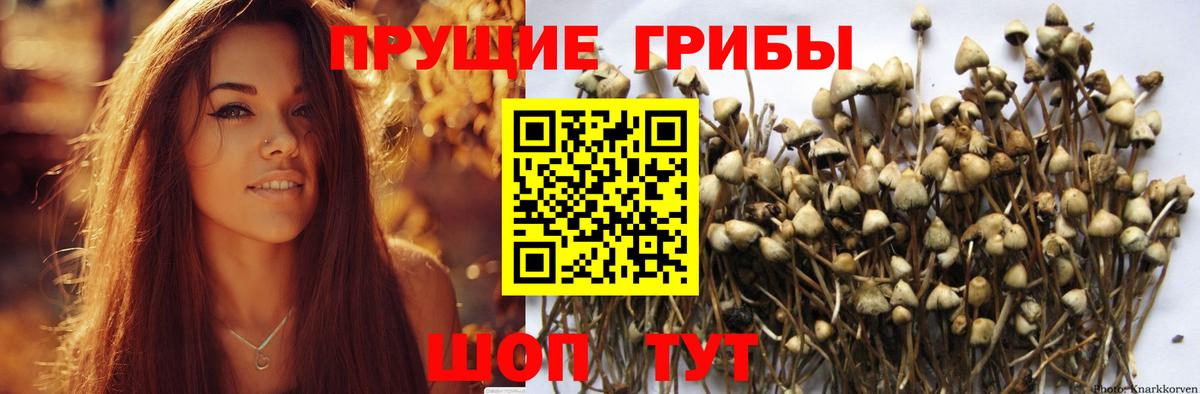 Псилоцибиновые грибы Psilocybine cubensis  сколько стоит  Норильск  Вход с VPN  Галлюциногенные грибы Magic Shrooms 